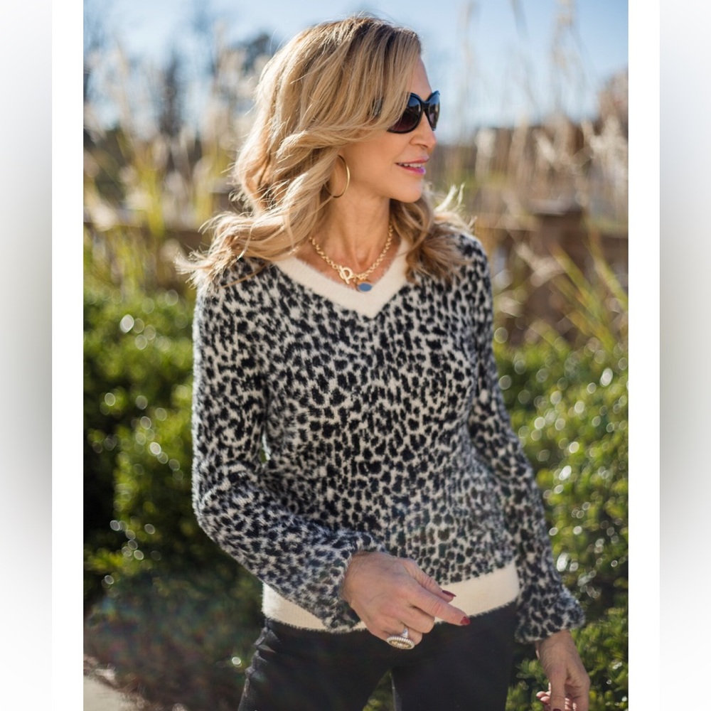 LOFT Animal Print V-Neck Sweater Pullover